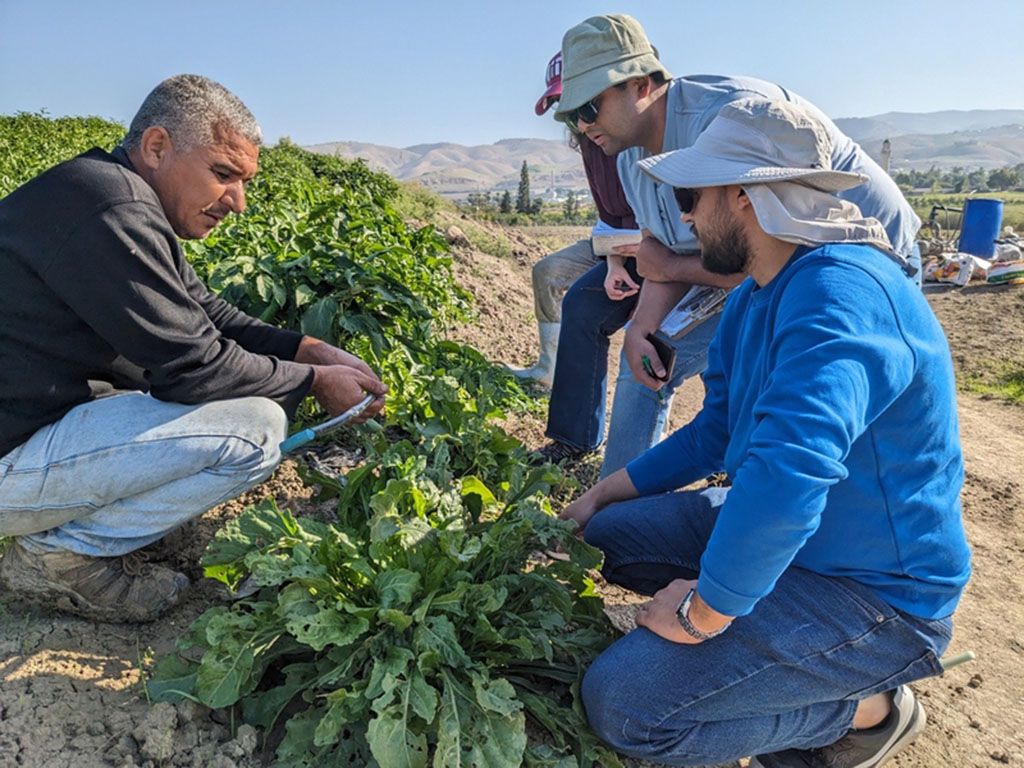 Aditya Ghodgaonkar, Susan Amrose, Ata Allah, and another Ata Allah kneel to inspect some crops. There are rolling mountains in the background