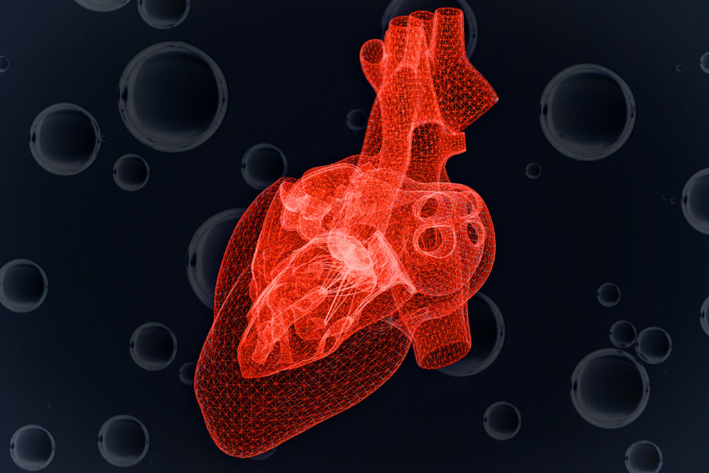 illustration of heart