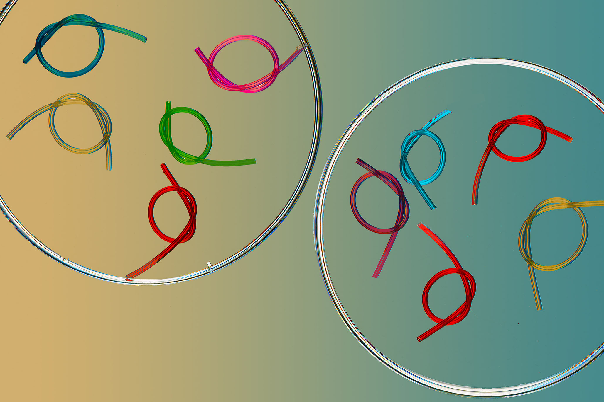 Bonded layers of rubber and hydrogel