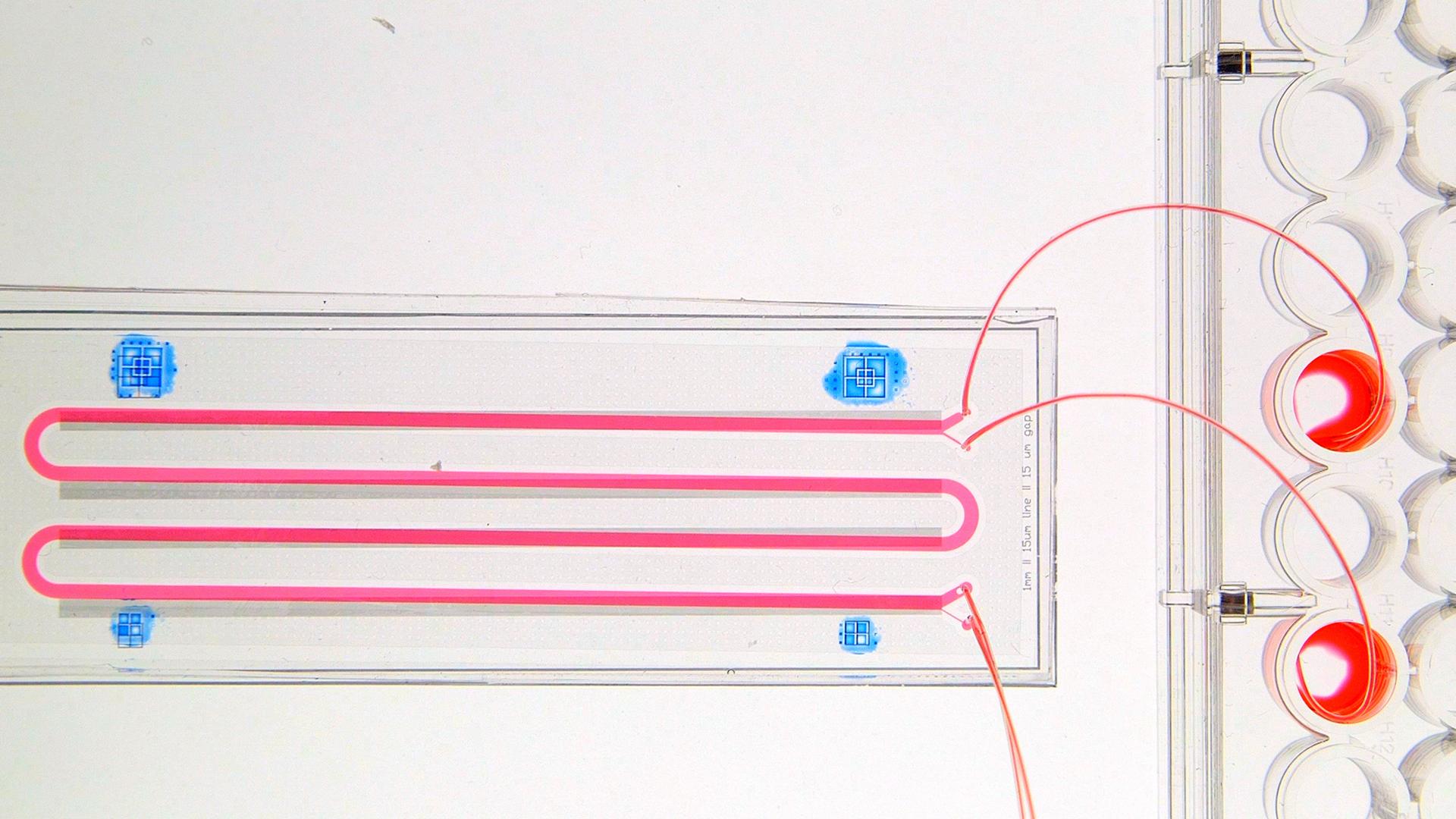 Engineering Fluids at the Nanoscale