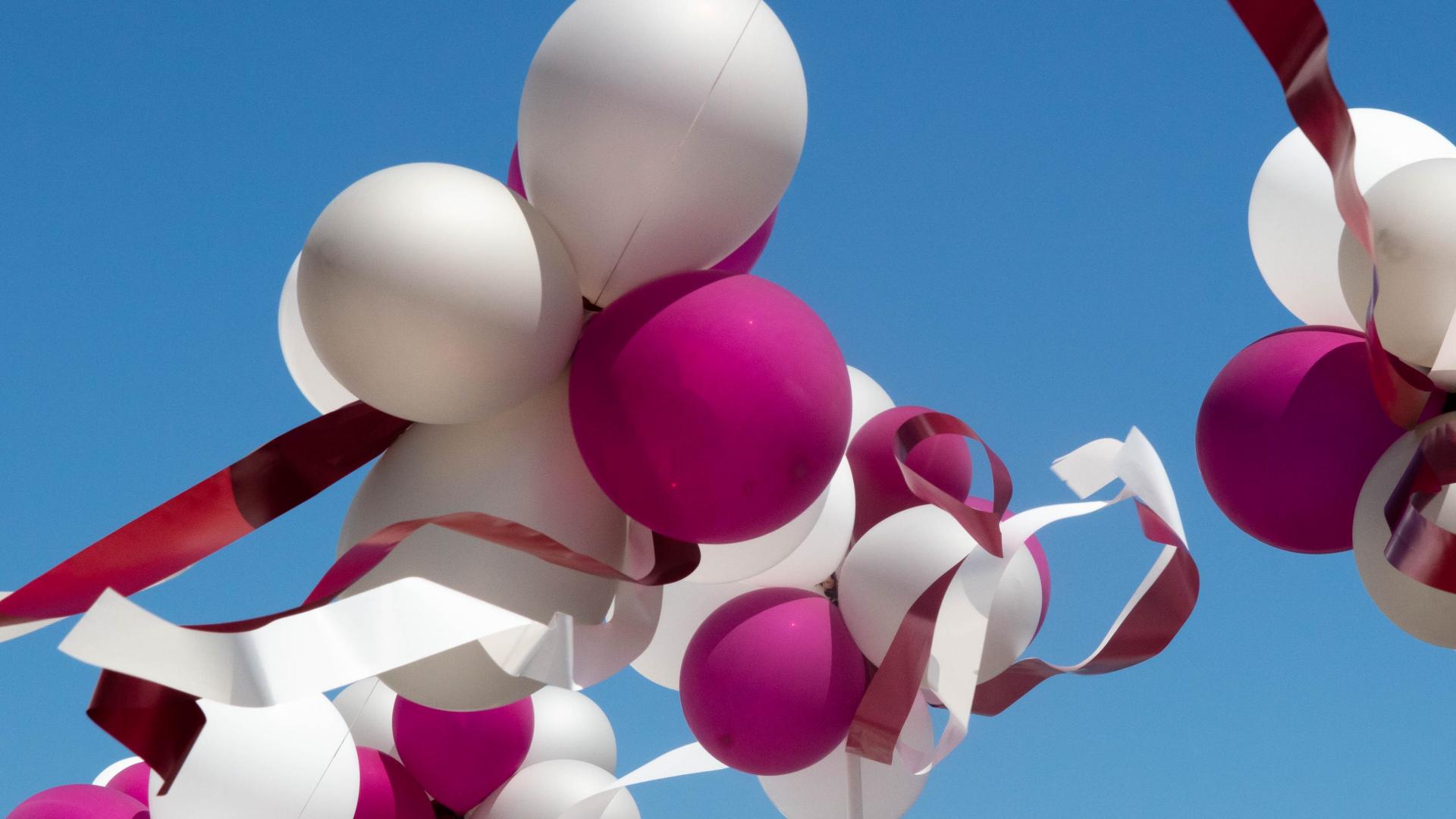 On May 11, a boat donated by MechE alumna and chair of the MIT Corporation Diane Greene SM ’78, was christened the “Chrys Chryssostomidis” in honor of Professor Chryssostomos Chryssostomidis. Greene and Chryssostomidis celebrated alongside members of the MIT community in a boat naming ceremony at the MIT Sailing Pavilion. 